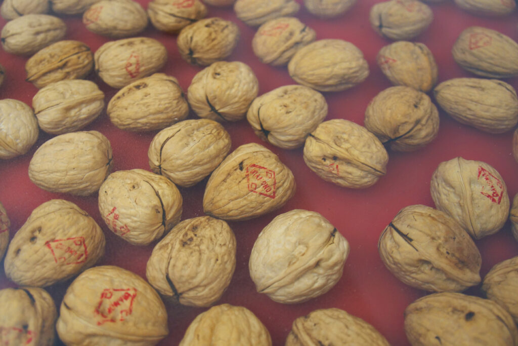http://Epoxy%20Countertop%20With%20Embedded%20Walnuts%201913%204