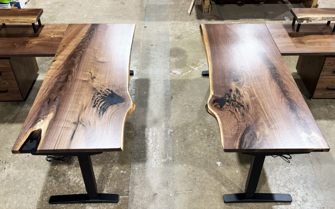 Matching Black Walnut And Resin Sit Stand Desks