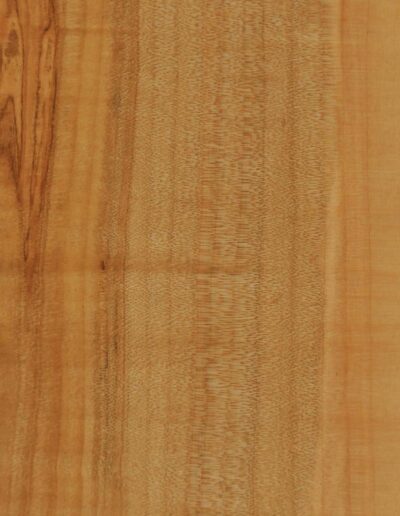 maple