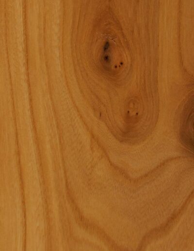 elm