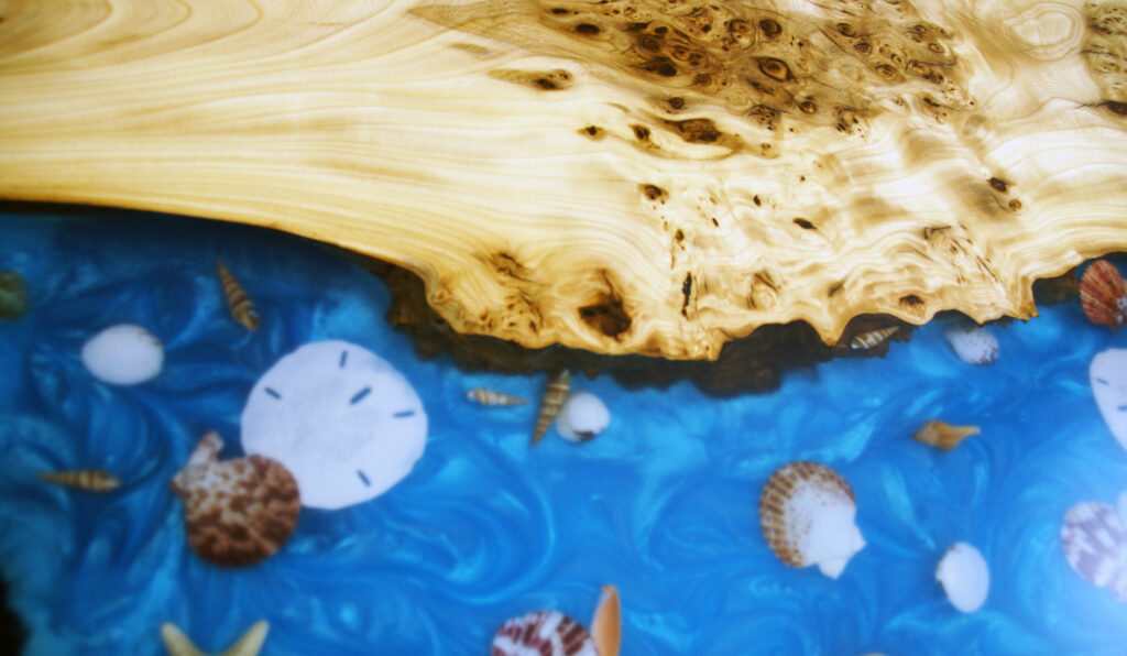 http://Burly%20Elm%20Coffee%20Table%20With%20Seashells%205