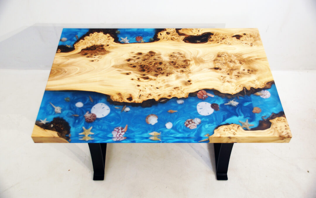 Burly Elm Coffee Table With Seashells
