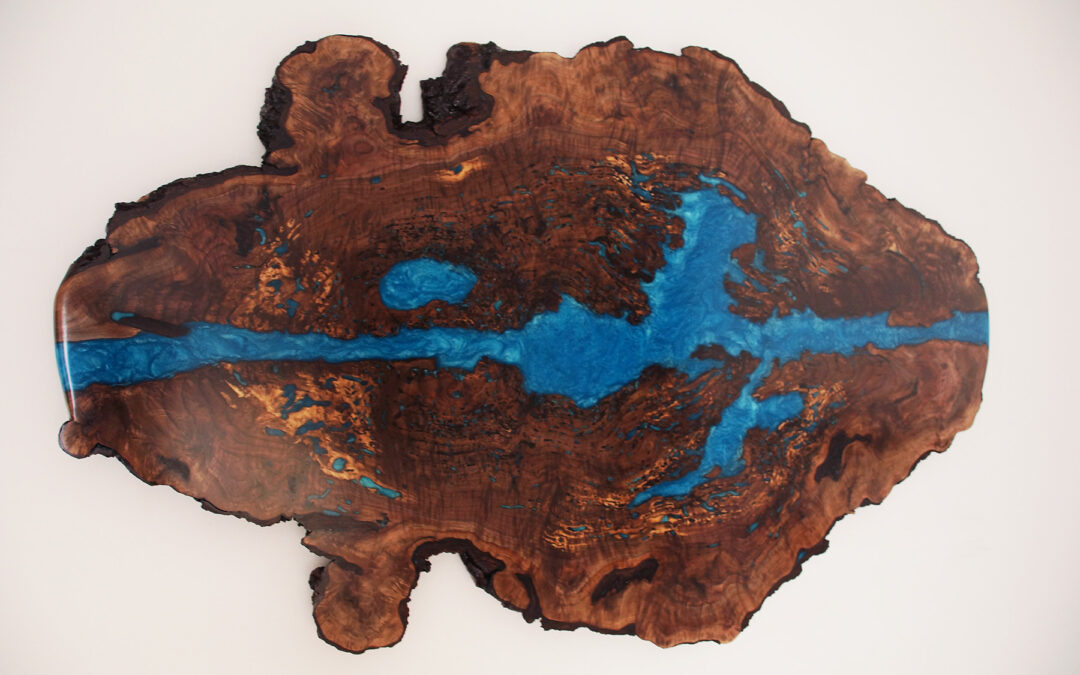 Live Edge Walnut Burl Wall Art