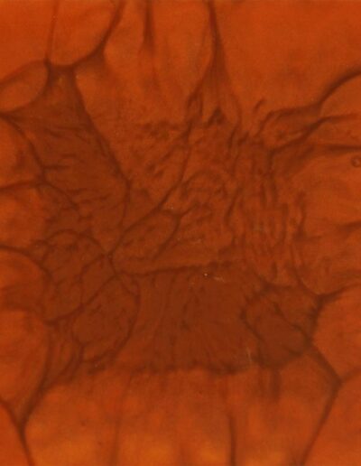 copper penny epoxy resin color sample