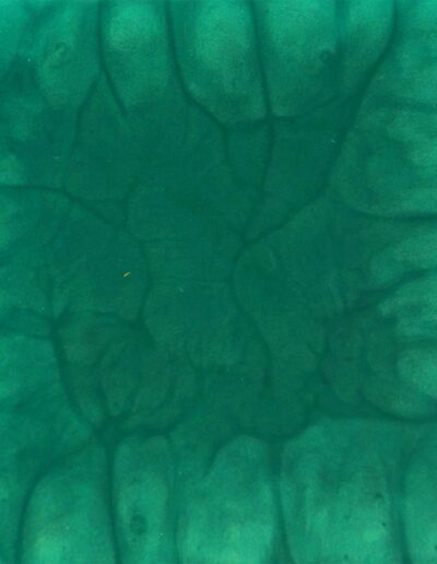bora bora blue epoxy resin color sample