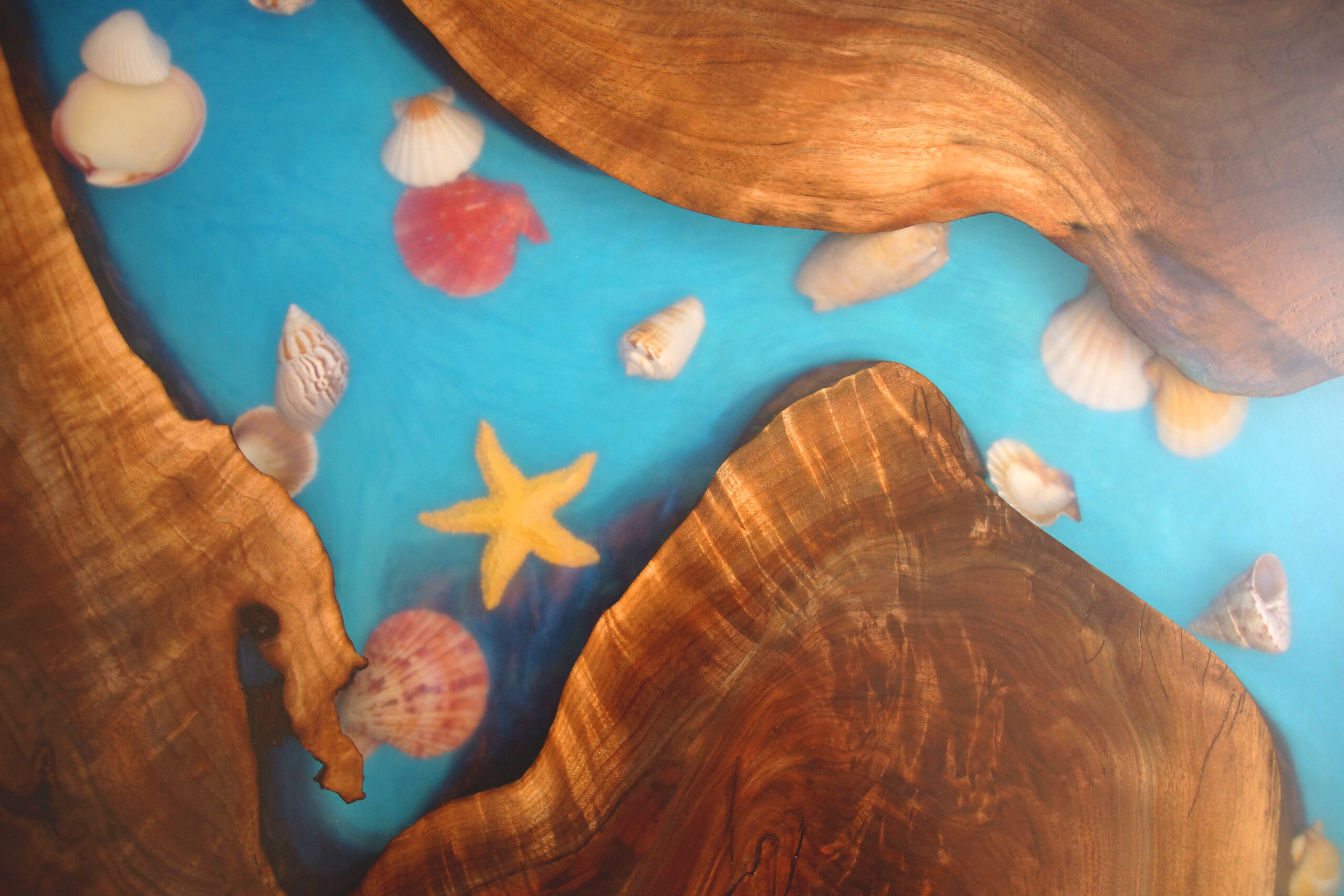 Ocean Table With Embedded Seashells