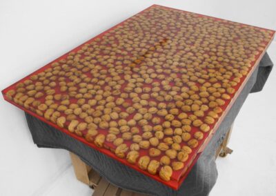 river table with rocks 8 countertop with embedded walnuts
